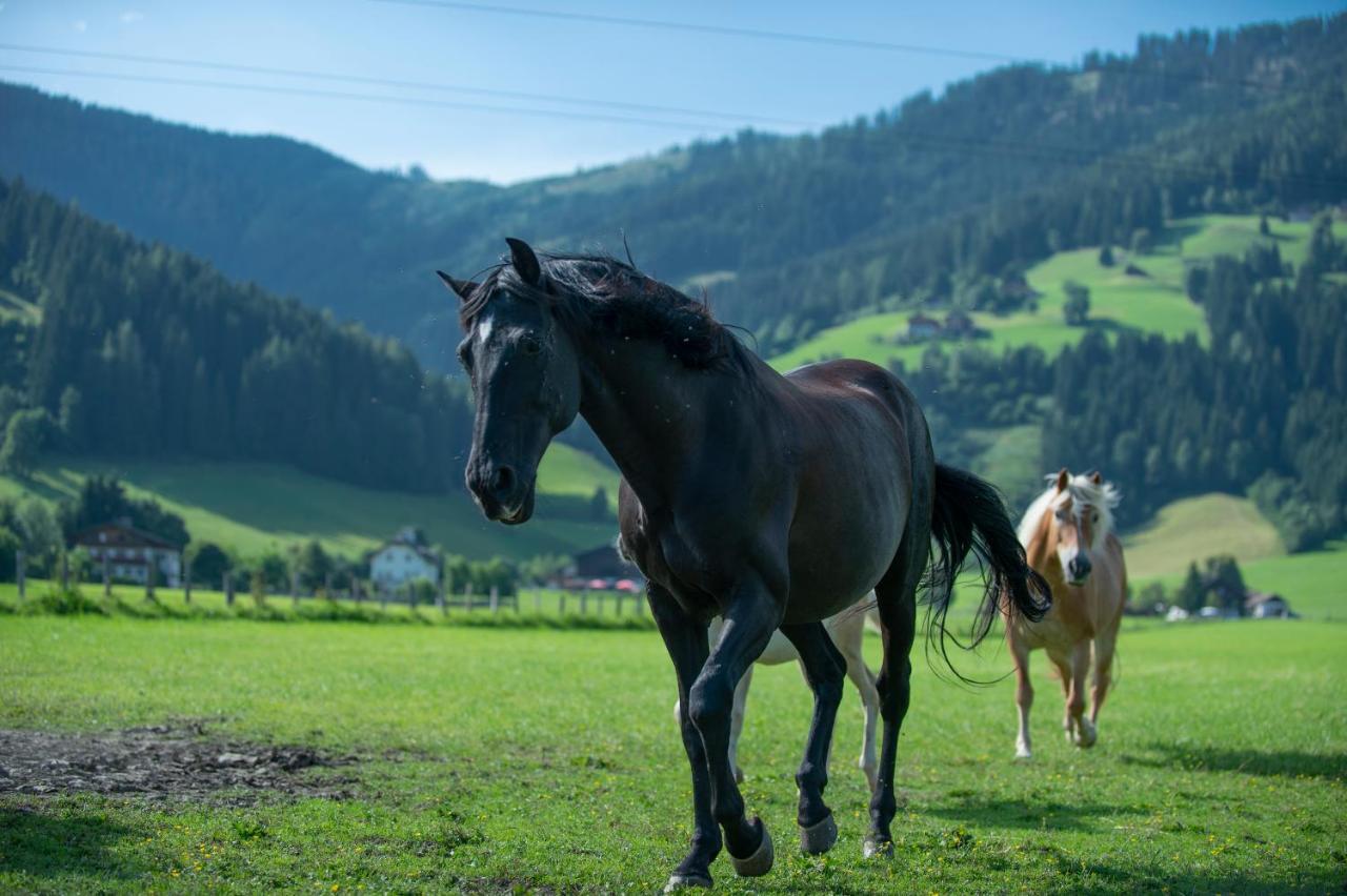 Ranstl Ferienwohnungen Flachau Exteriér fotografie