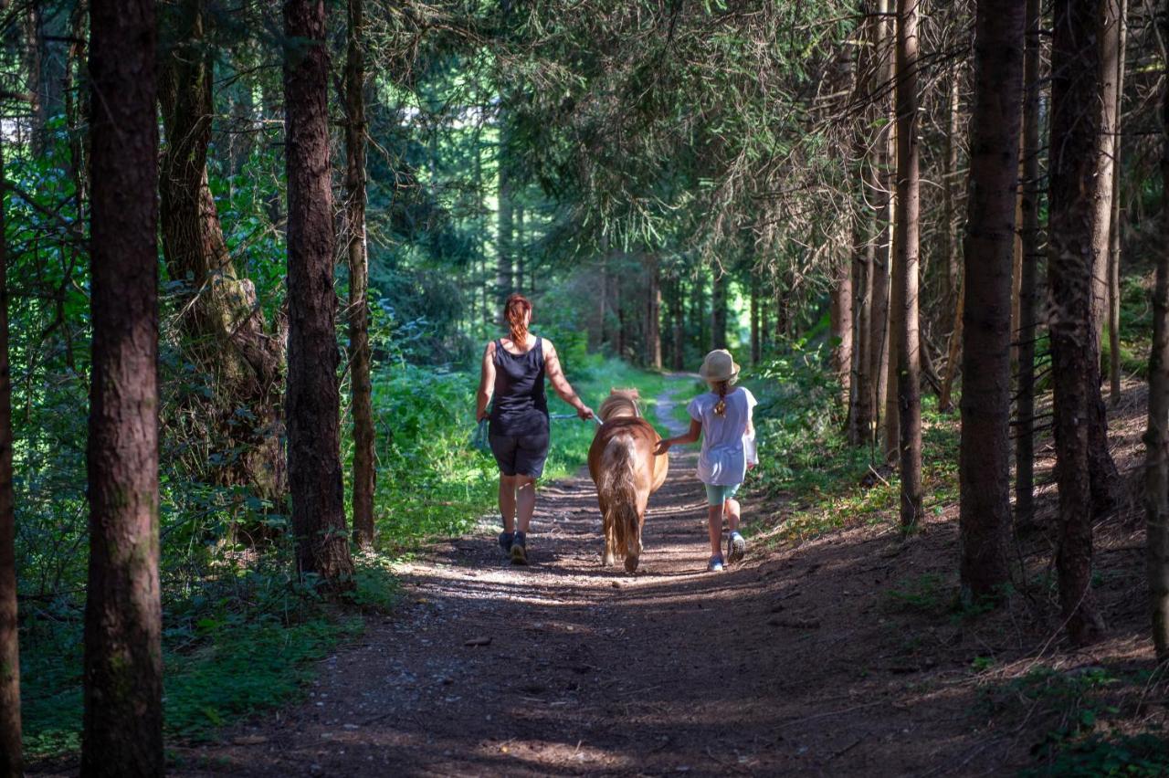 Ranstl Ferienwohnungen Flachau Exteriér fotografie